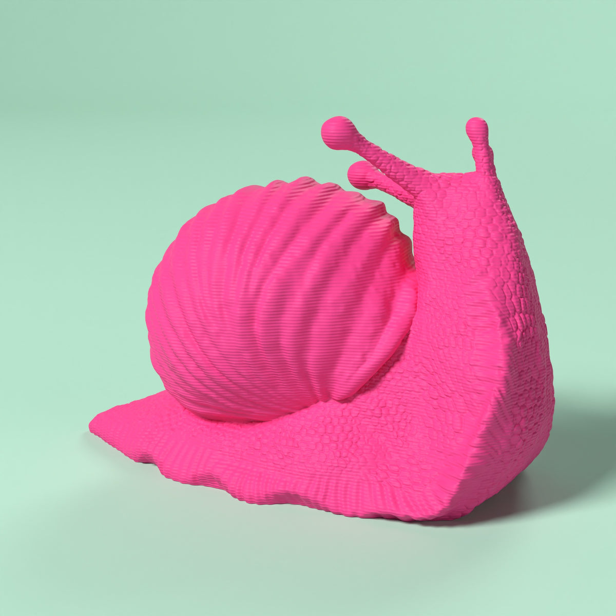 Che Lumaca! Testa in Su Scamarcia Design – colore Rosa Fluo, stampa 3D in bio-PLA