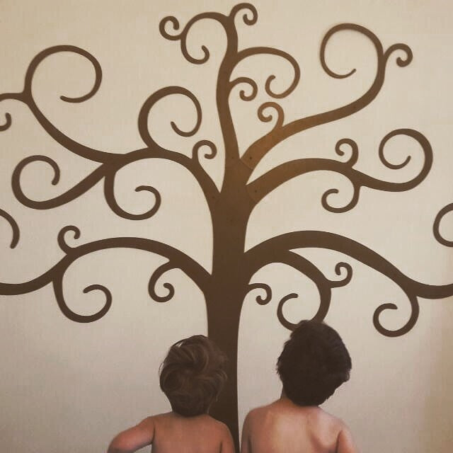 Albero - 6