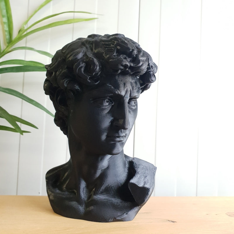 David - 7