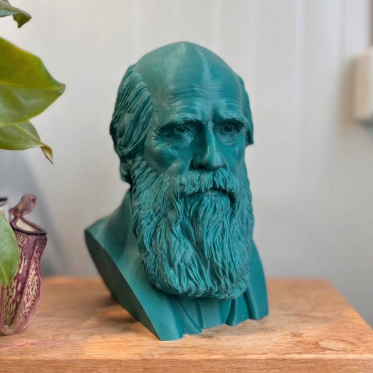 Busto di Charles Darwin Maestri Collection