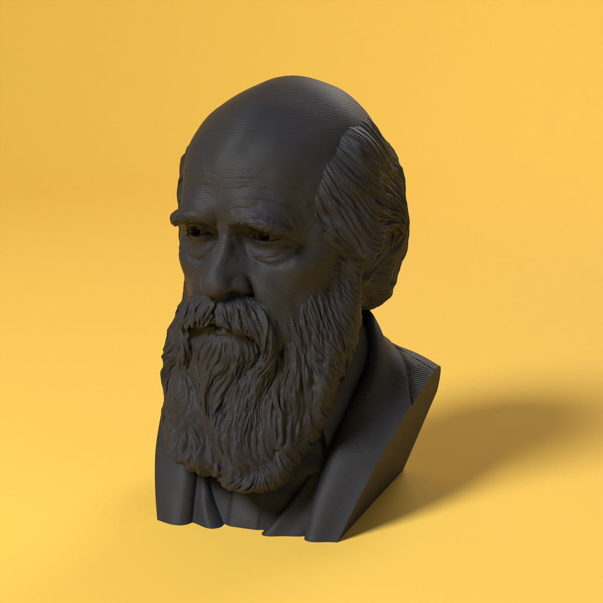 Charles Darwin Scamarcia Design – colore Nero, stampa 3D in bio-PLA