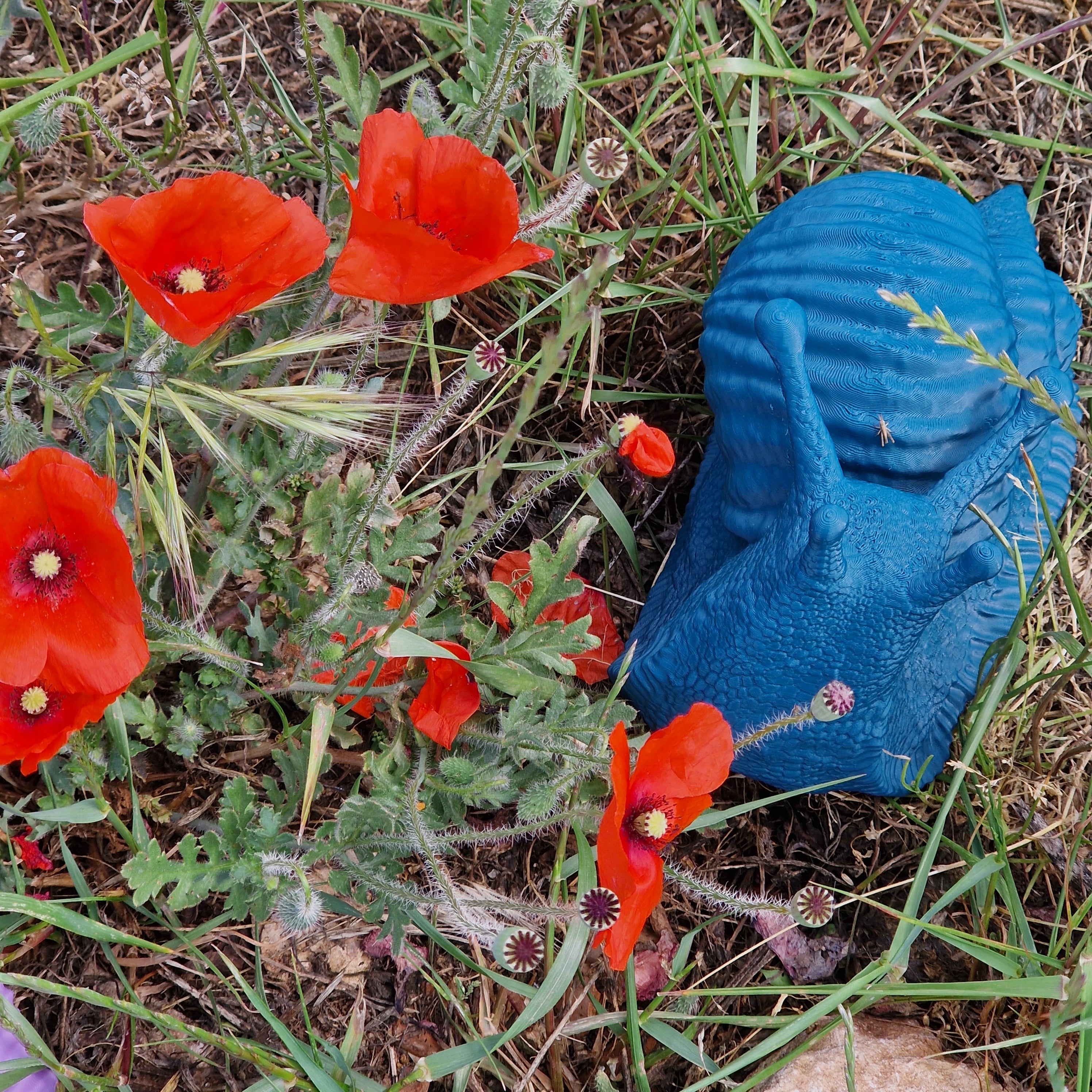 Che Lumaca! Testa in Su, scultura lumaca in PLA biodegradabile - 12