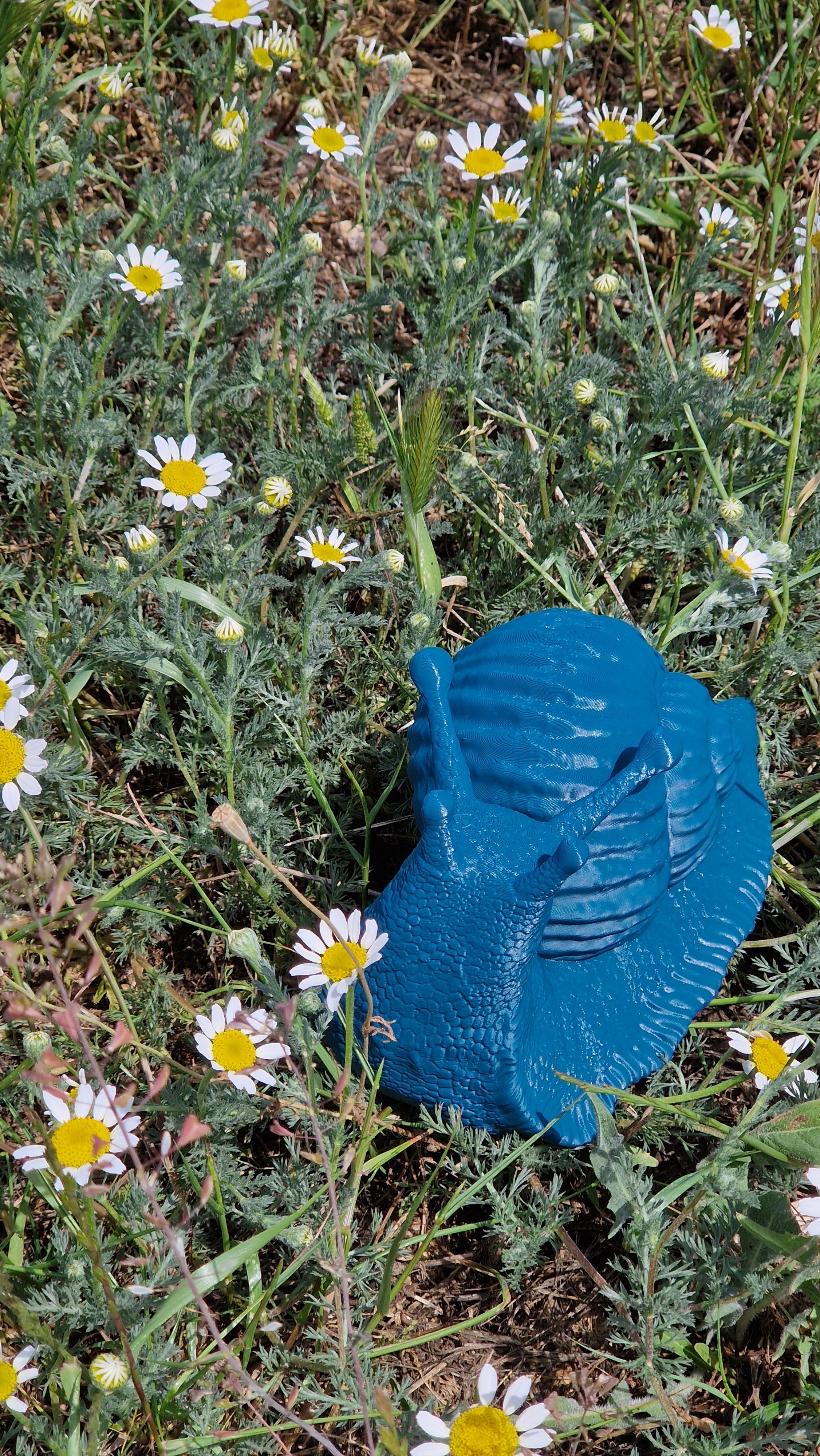 Che Lumaca! Testa in Su, scultura lumaca in PLA biodegradabile - 14