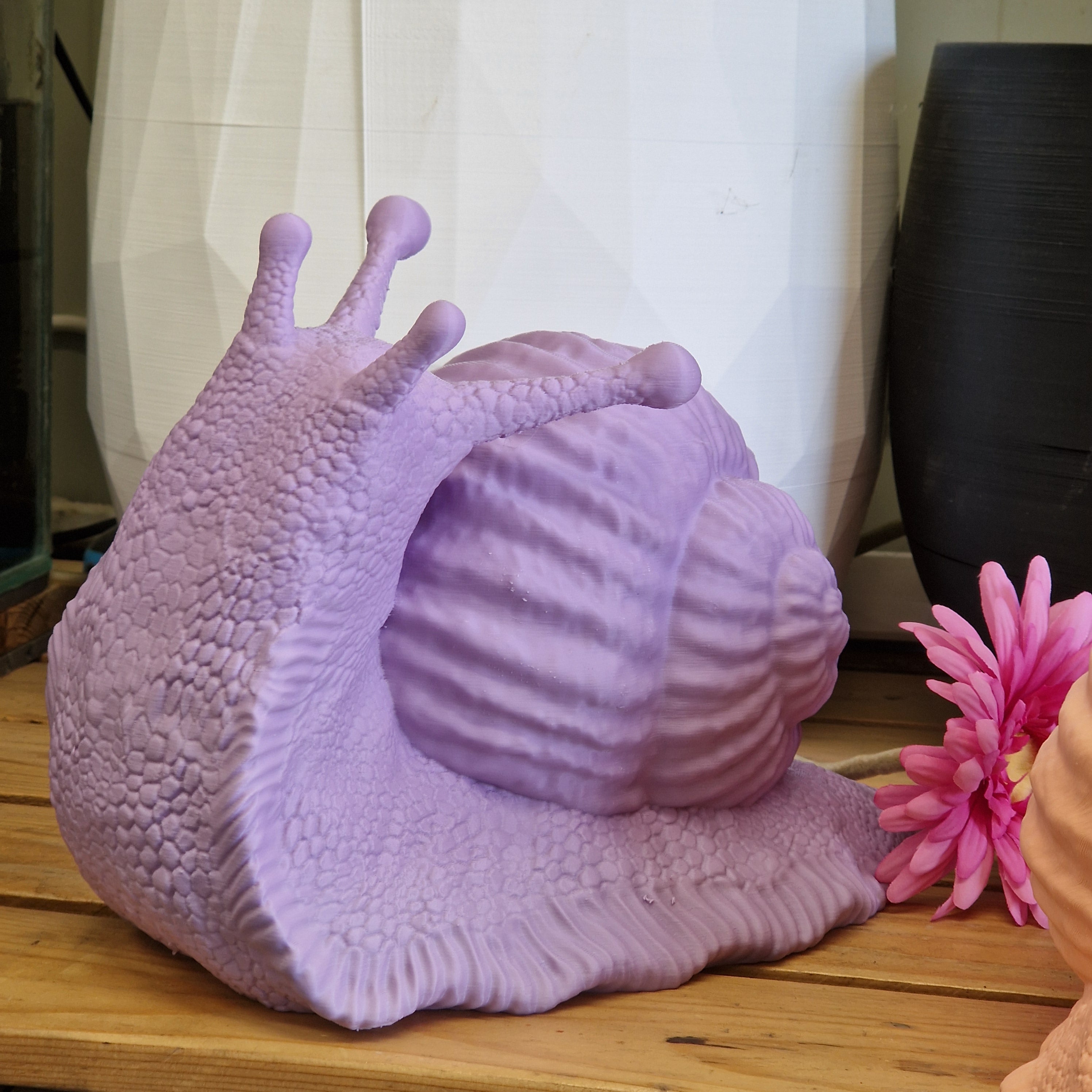 Che Lumaca! Testa in Su, scultura lumaca in PLA biodegradabile