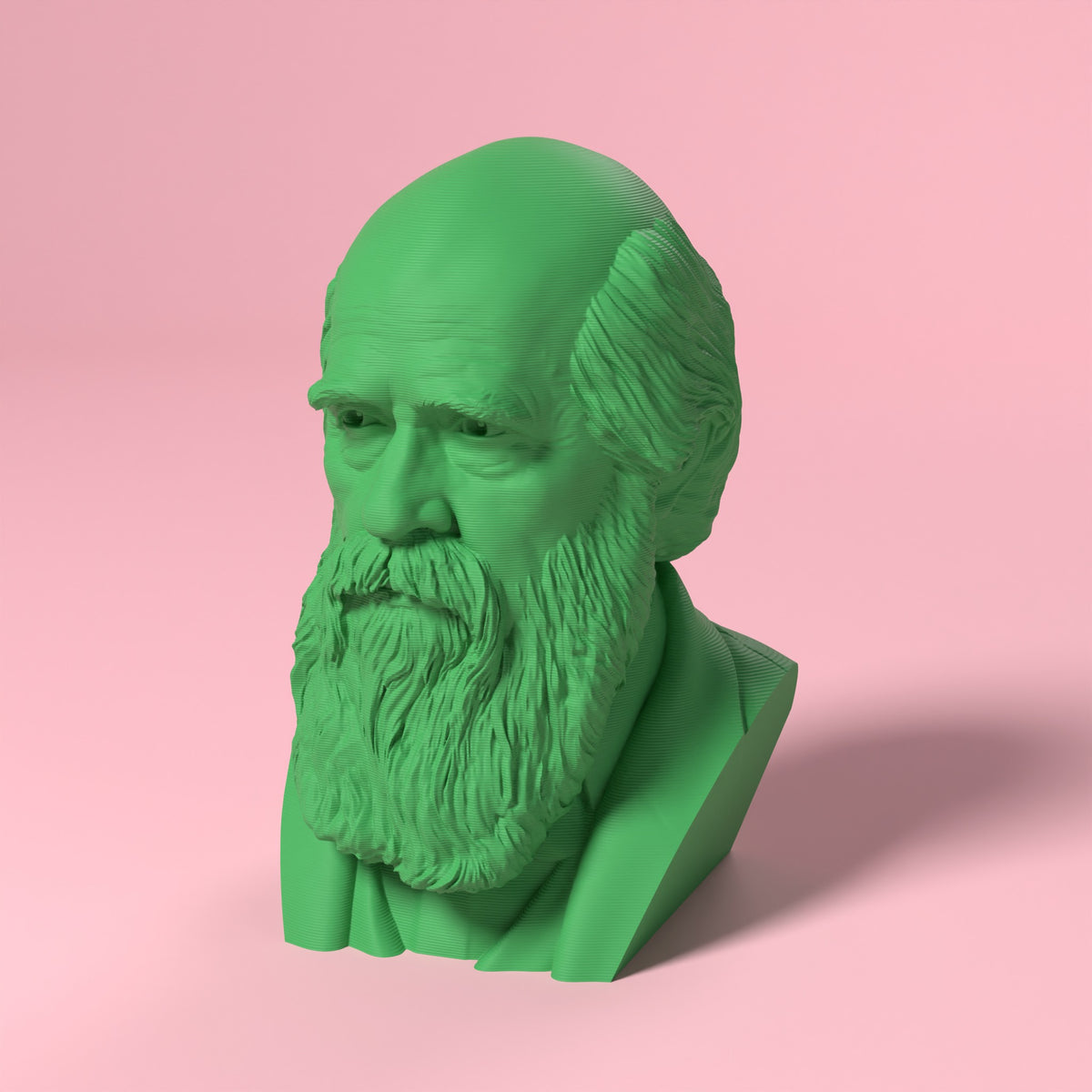Charles Darwin Scamarcia Design – colore Verde, stampa 3D in bio-PLA