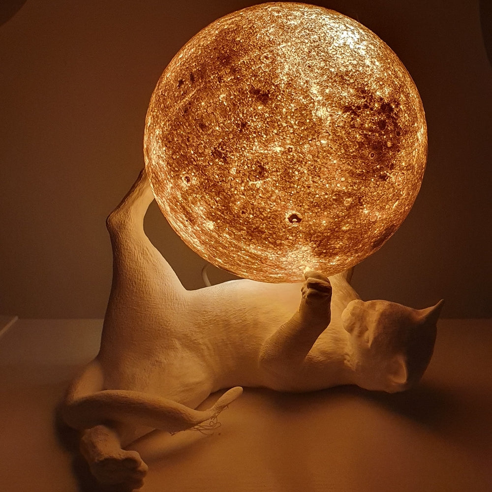 Lampada Lunadilana mappa della Luna