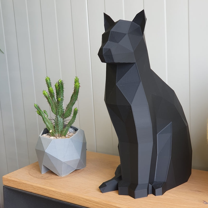 Gatto da Guardia - 3