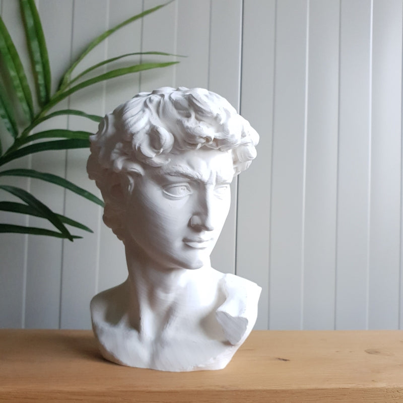 David - 2