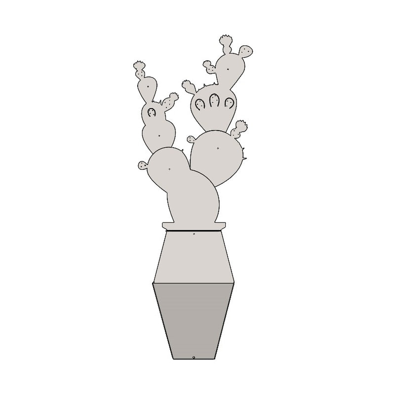 Cactus - 11
