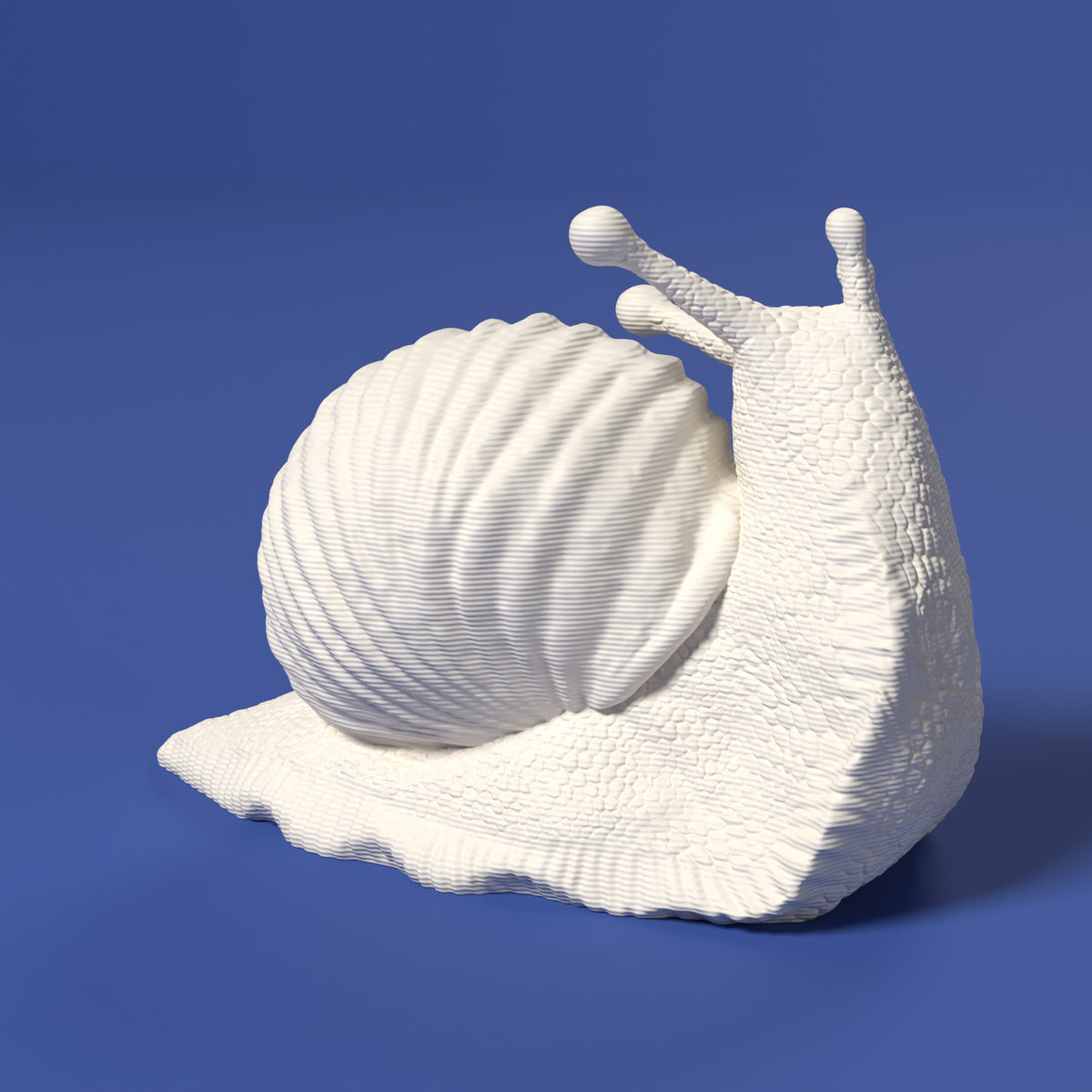 Che Lumaca! Testa in Su Scamarcia Design – colore Bianco, stampa 3D in bio-PLA