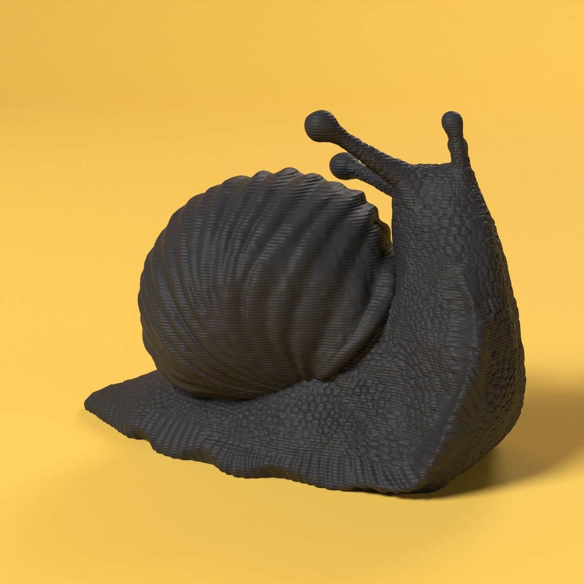 Che Lumaca! Testa in Su Scamarcia Design – colore Nero, stampa 3D in bio-PLA