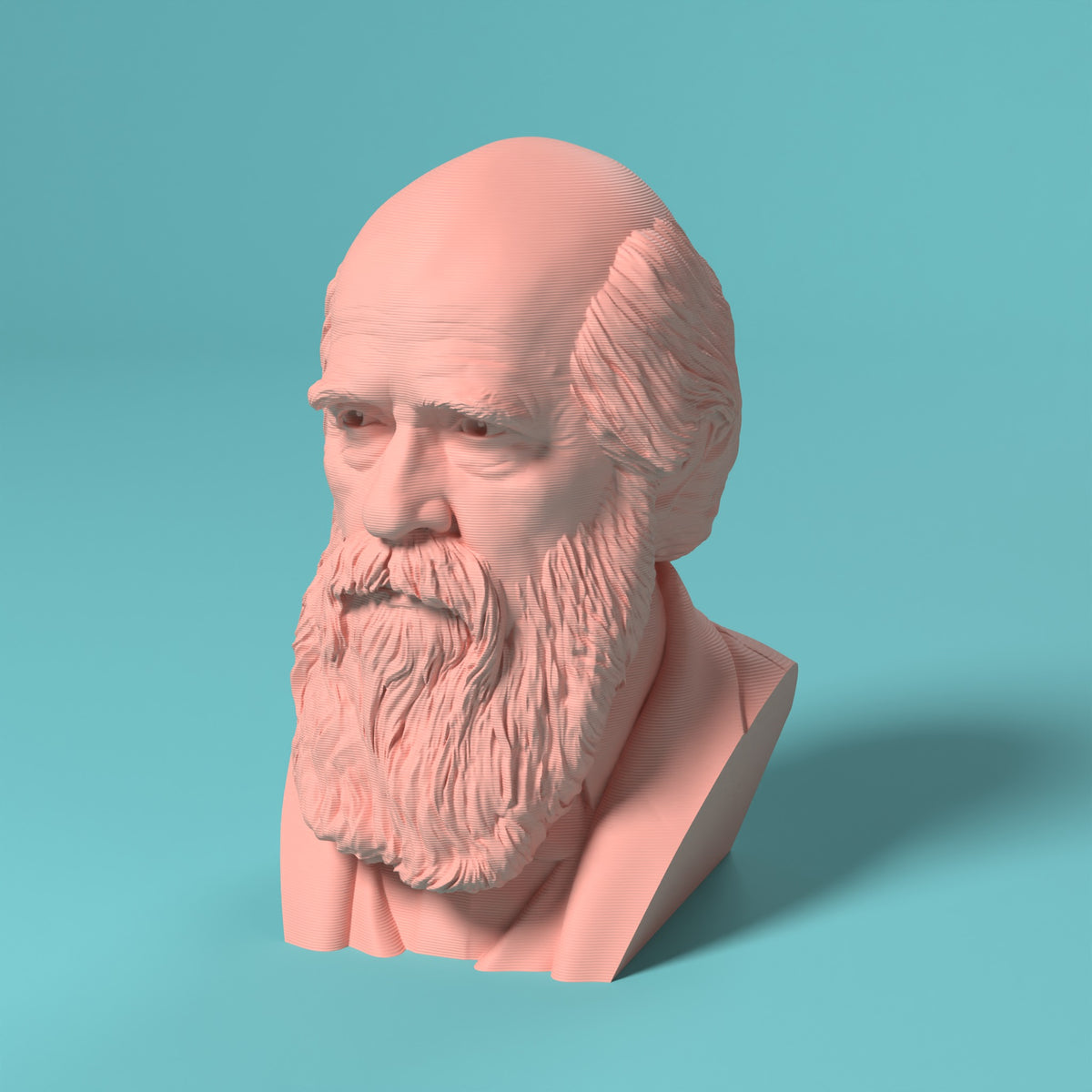 Charles Darwin Scamarcia Design – colore Rosa, stampa 3D in bio-PLA
