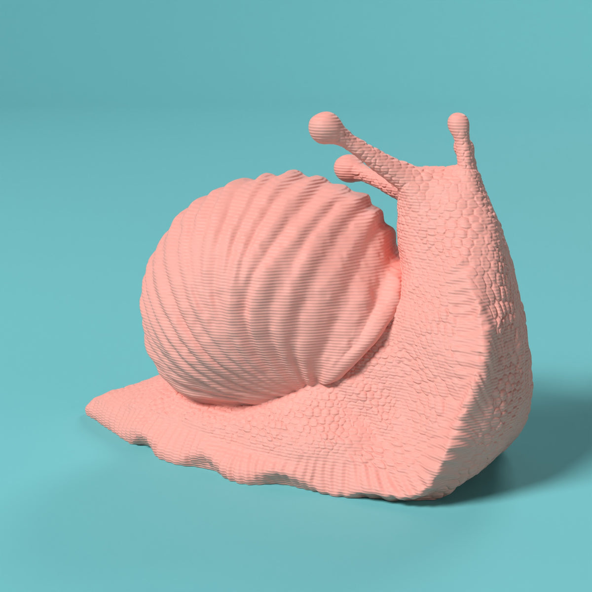 Che Lumaca! Testa in Su Scamarcia Design – colore Rosa, stampa 3D in bio-PLA