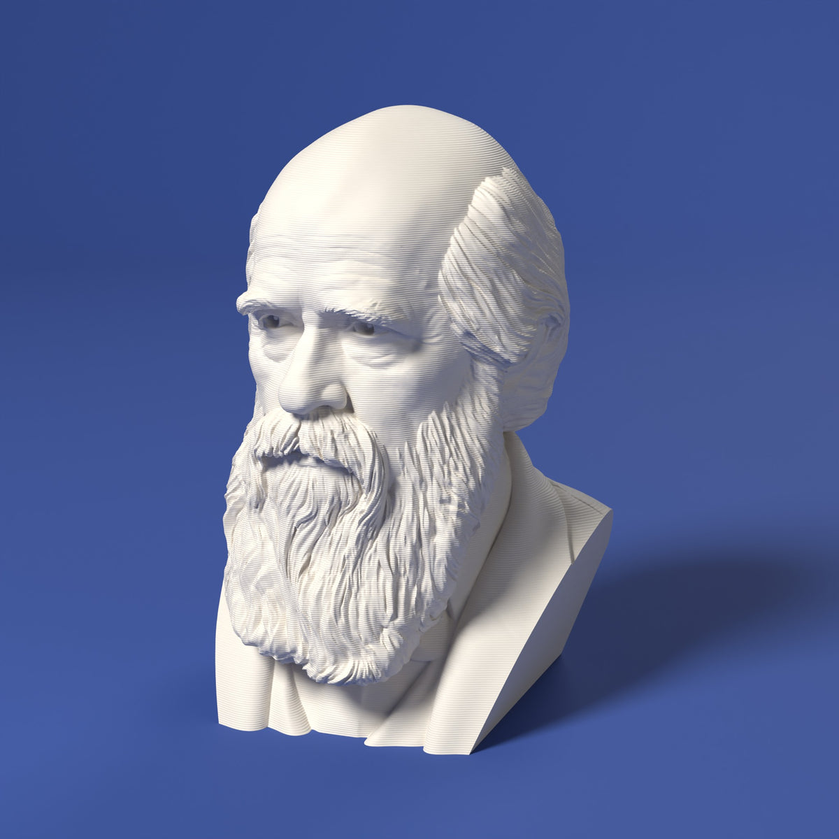 Charles Darwin Scamarcia Design – colore Bianco, stampa 3D in bio-PLA