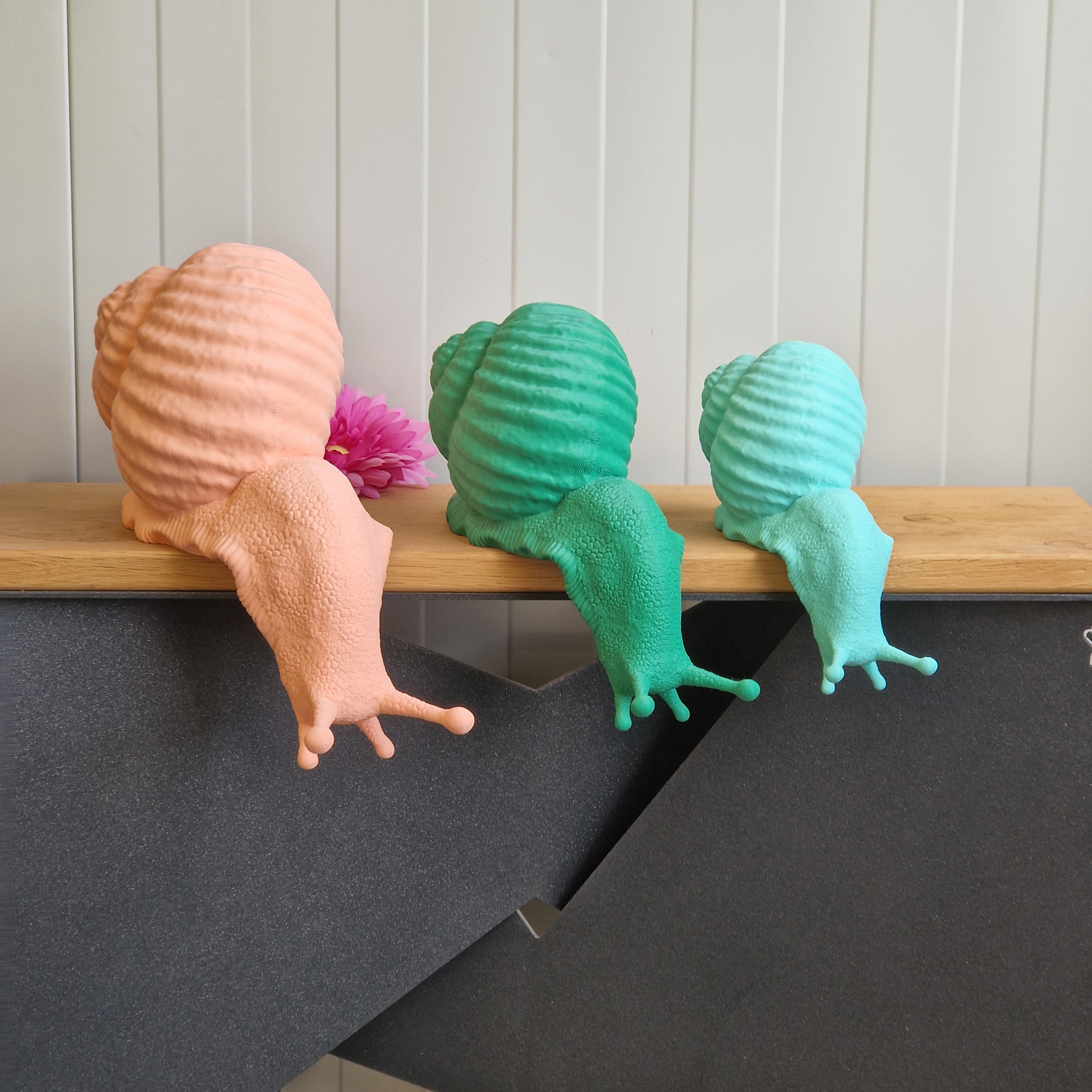 Che Lumaca! Testa in Giù, scultura lumaca in PLA biodegradabile - 9