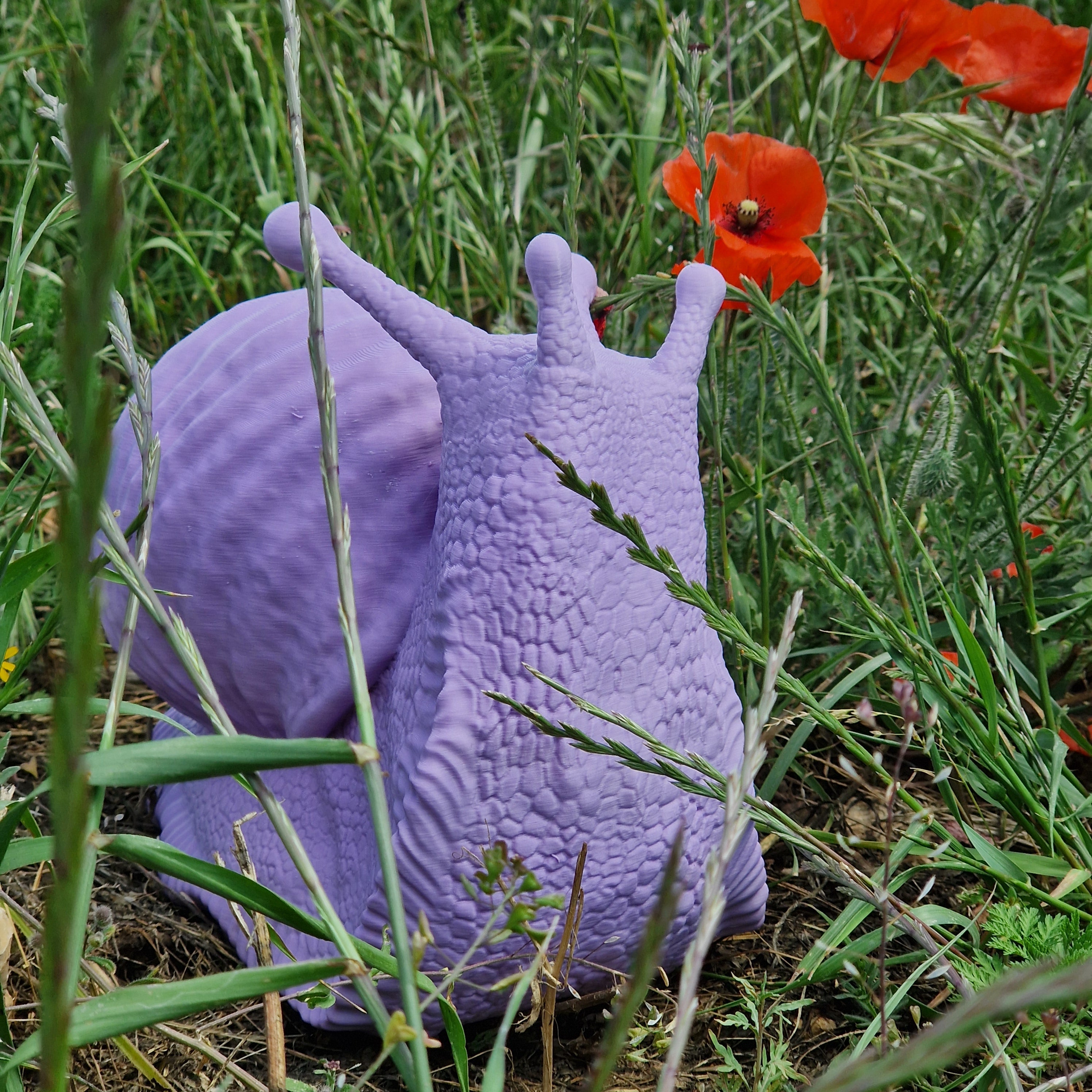 Che Lumaca! Testa in Su, scultura lumaca in PLA biodegradabile - 10