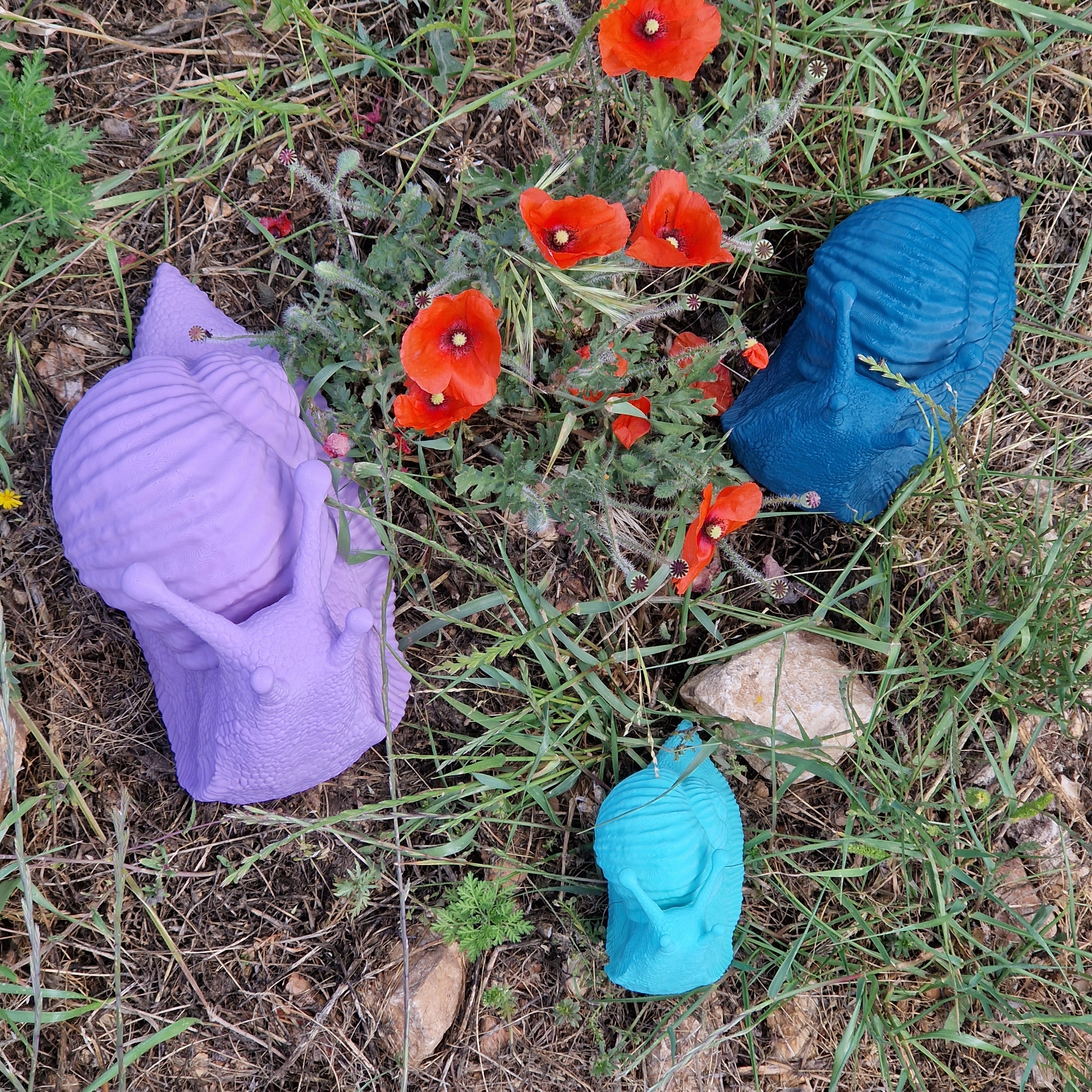 Che Lumaca! Testa in Su, scultura lumaca in PLA biodegradabile - 11