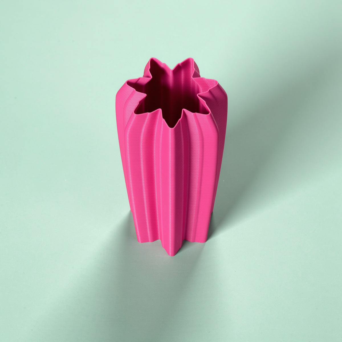 Portaombrelli Cactus Scamarcia Design visto dall'alto – colore Rosa Fluo